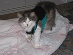 Jessi auf dem Bett mit einer Strickjacke.